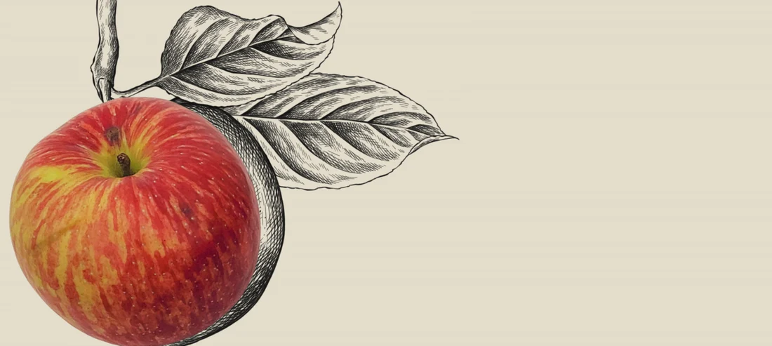 Canada’s Finest Fruit Tree Selection